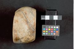 Foto (Frontalansicht) von Armreifen aus Chank-Schnecke (NHMW-ZOO-MO-0081100-ETH-125a)